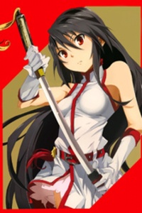 Akame ga KILL! ZERO