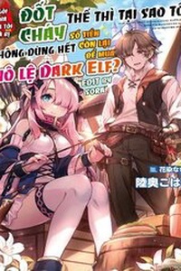 Ie ga Moete Jinsei Dou Demo Yoku Natta kara, Nokotta Nakenashi no Kin de Dark Elf no Dorei o Katta